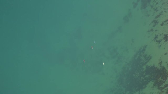 Aerial View From Above. Group Five Canoes Swim In Clear Azure Water Along Coastal Strip. Athletes Engaged In Canoeing. Seabed Translucent Visible Through Clear Water. Sport Activity