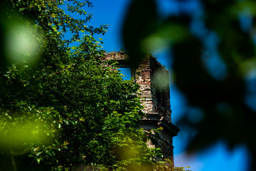 pałac tarłów widok na ruiny okna © Dariusz Grochal 