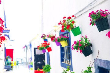 Fototapeta na wymiar View of white street and flowers in Bodrum city of Turkey. Aegean style colorful street, wall, house and flowers in Bodrum. 