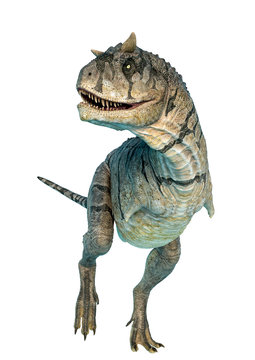 carnotaurus sastrei side view in a white background