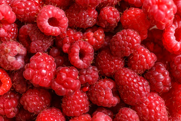 Fresh organic raspberries background, macro photo. Raspberry fruit background or texture.