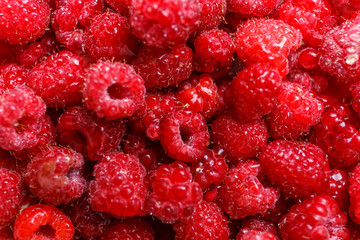 Fresh organic raspberries background, macro photo. Raspberry fruit background or texture.