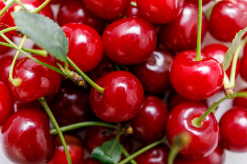 Sweet organic cherry background. Large collection of fresh red cherries.