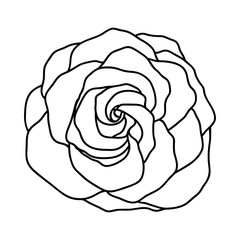 Line art of rose. Black isolated on white.