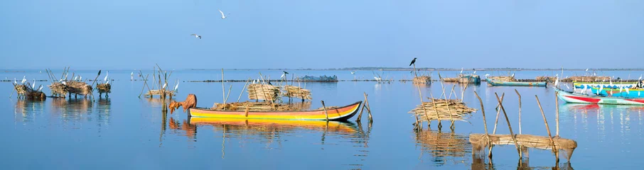 Foto op Aluminium Fishing Boats, Jaffna, Sri Lanka © Guy Bryant