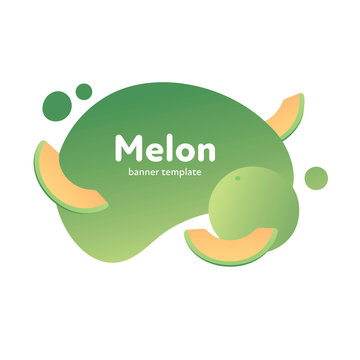 Vector fruit modern fluid banner. Colorful organic green melon on splash shape frame isolated on white background. Design illustration for web eco poster, vegetarian menu, backdrop, poster, card
