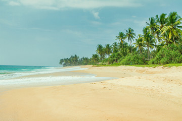 Beautiful tropical beach