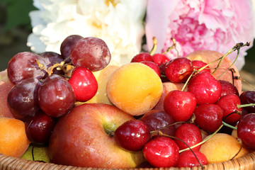 Juicy black grapes and apples, pears and peaches in a basket in the garden on an old wooden table