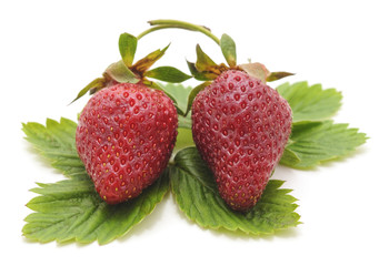 Large fresh strawberry.