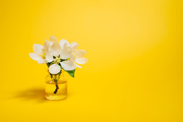 Spa natural cosmetic concept. Bright yellow background with copy space for text.