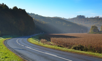 Fototapeta na wymiar Bending road among hills in autumn