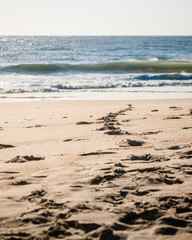 Footprints in the Sand Leading to the Ocean