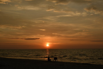 Fototapeta na wymiar A dog owner at sunset on the beach of Debki