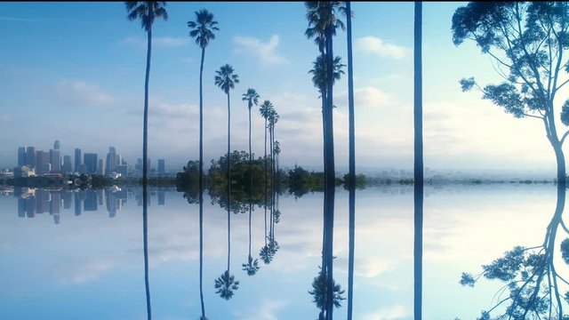 Beautiful mirrored clip of tall palm trees and Los Angeles skyline - UHD 4 K resolution