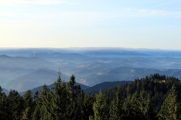 panoramic view over the black forest early in the morning