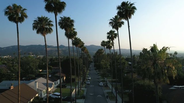 Palm tree lined street at sunset in Los Angeles - Glendale, CA - 4k aerial drone