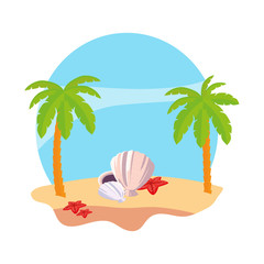 summer beach with palms and shells scene