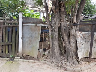 Naklejka premium casa velha com portão de madeira e árvore na calçada em um bairro de São Paulo