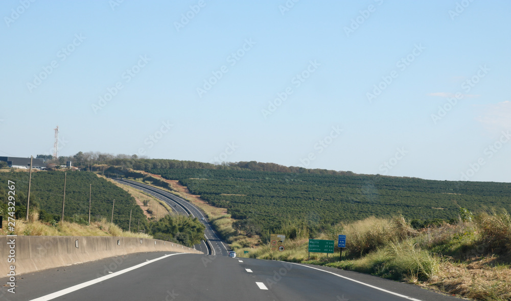 Wall mural road in mountains