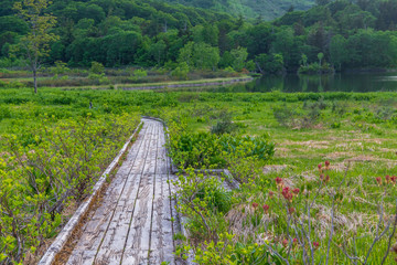 Fototapeta na wymiar Towada Hachimantai National Park, Hachimantai