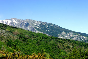 Fototapeta premium mountain