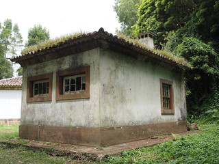 old house in forest