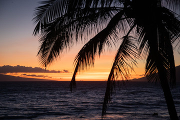 Fototapeta na wymiar Maui Beach Sunset 