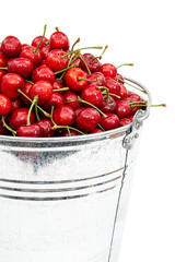 Harvest ripe cherries in a bucket, isolated on white background