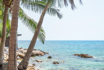 Landscape view at Koh Tao island beach with coconut palm trees on sunny day