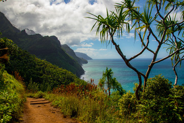 Fototapeta na wymiar coastline of Hawaii 