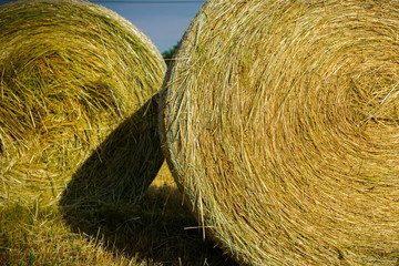Deux meules de foin.