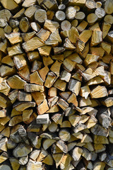 Heap of chopped oak firewood, preparation to winter season