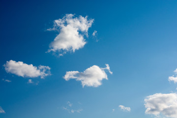 Obraz premium 青空に浮かぶ雲