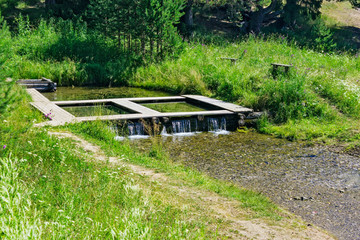 rill in the countryside on a sunny summer day