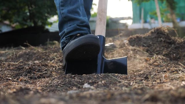 farmer digging the ground with a shovel garden close-up. slow motion video. man farmer working in the garden agriculture concept lifestyle summer garden