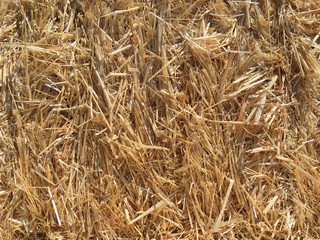 Close up full frame view into a bale of straw