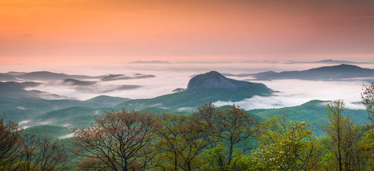Gorgeous panoramic photo of Looking Glass Rock in Pisgah National Forest surrounding by early morning fog. - obrazy, fototapety, plakaty