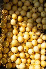 yellow guavas on the shelf of a supermarket or grocery store. Typical tropical fruit in Latin America, rich in vitamins c