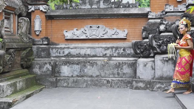 Side view of beautiful balinese dancer walking in the temple while carrying frangipani flower and wearing traditional costume. Shot in 4k resolution