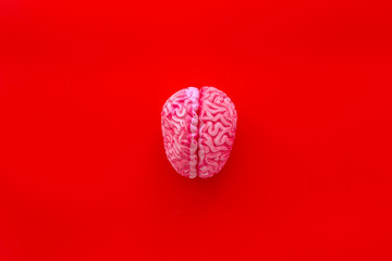 Brainstorm concept with brain on red background top view copyspace