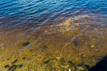 stranded on the river