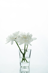 clear glass with natural white flower minimalism background
