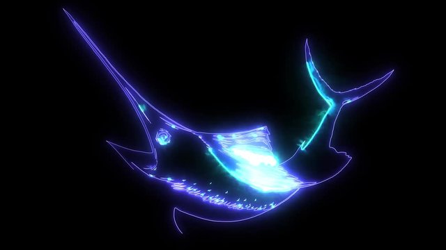 marlin pelagic fish video laser animation
