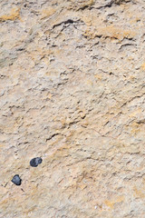 Stone background texture. Copy space.