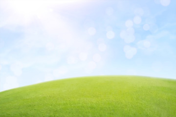 Obraz na płótnie Canvas Green lawn and blue sky