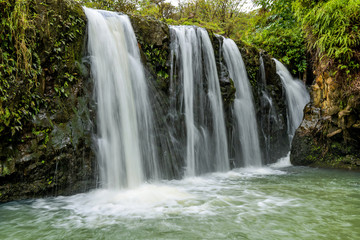 Obraz premium Waterfalls and Green Pond - Strong and broad waterfalls flowing into a clear green pond in Puaa Kaa State Wayside Park at side of the Road to Hana Highway, Maui, Hawaii, USA.