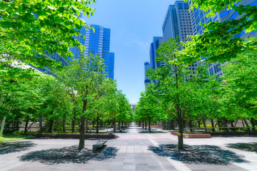 爽やかな緑のビジネス街