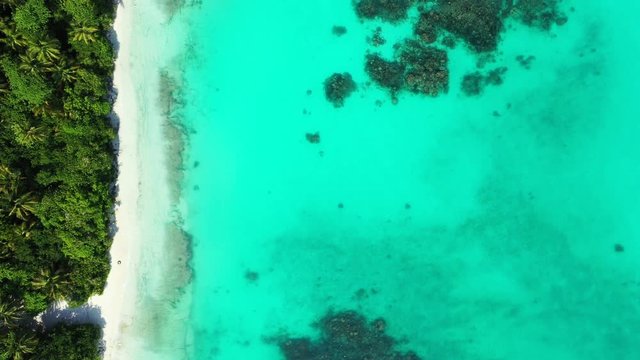 Flight over a palm tree beach and clear blue water of Saona, Dominican Republic