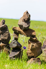 Stacked rocks in a meadow