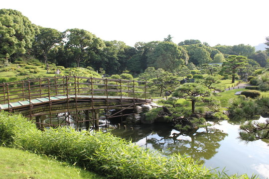 緑豊かな庭園